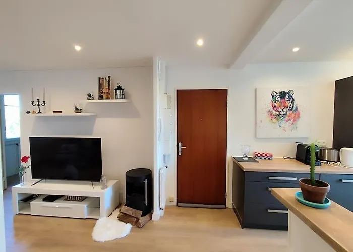 Appartement Le Repere Du Vert Galant
