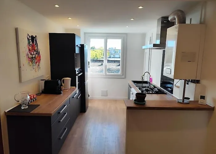 Appartement Le Repere Du Vert Galant