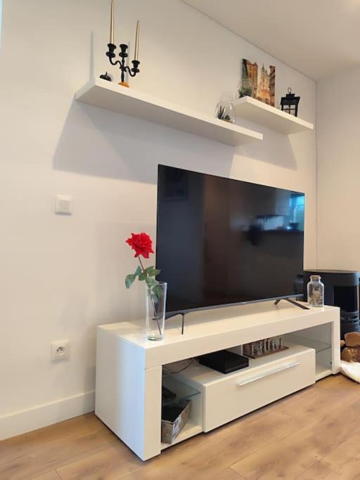 Apartment Le Repere Du Galant Billere