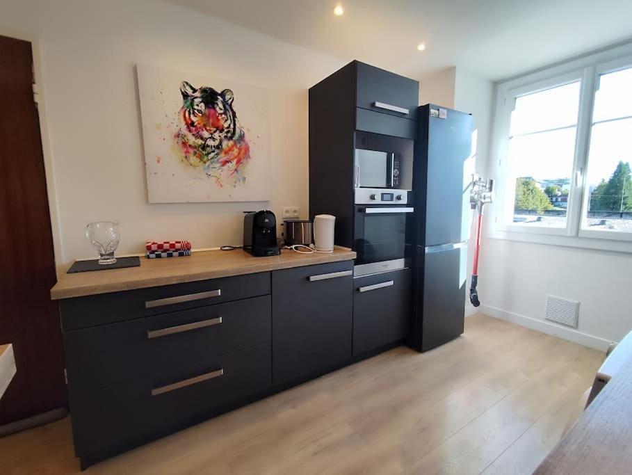 Le Repere Du Galant Apartment